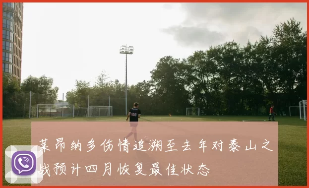 莱昂纳多伤情追溯至去年对泰山之战预计四月恢复最佳状态