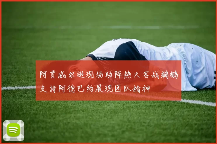 阿贾威尔逊现场助阵热火客战鹈鹕支持阿德巴约展现团队精神