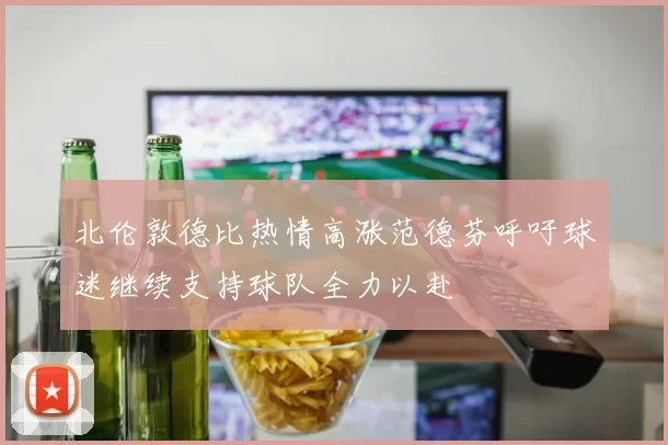 北伦敦德比热情高涨范德芬呼吁球迷继续支持球队全力以赴